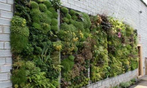 estupedna-fachada-jardin-vertical-500×300