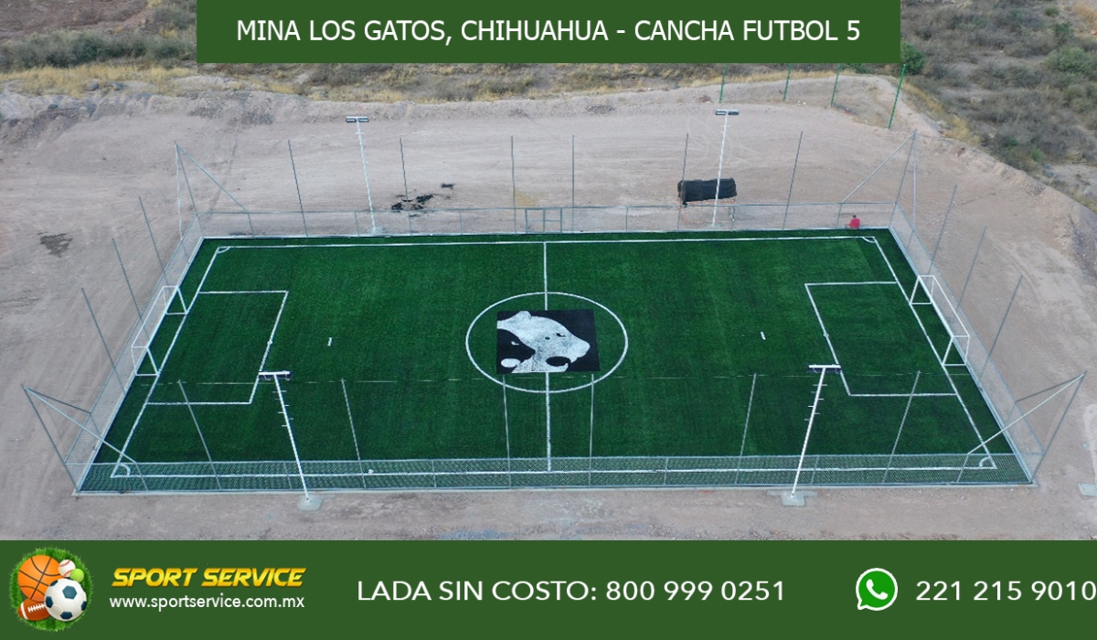 MINA LOS GATOS N 2