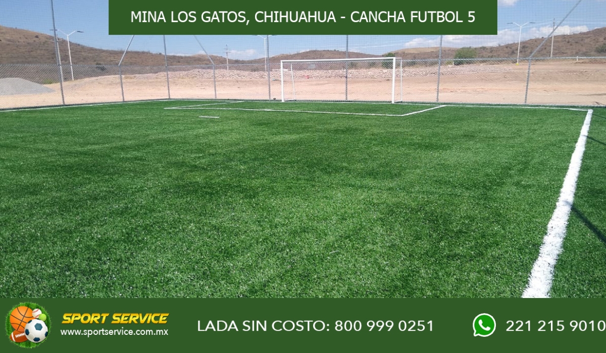 MINA LOS GATOS N 3