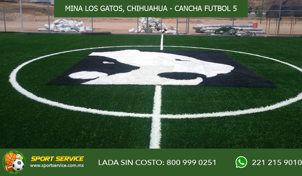 MINA LOS GATOS N 5