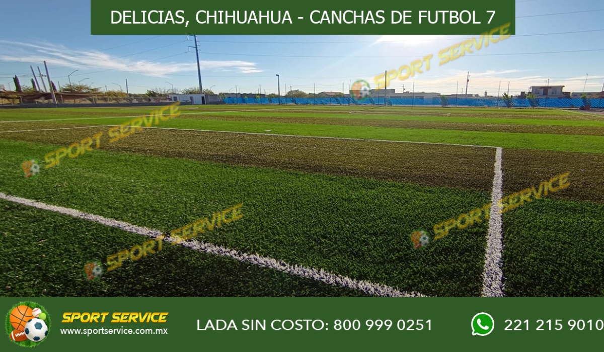 DELICIAS 4
