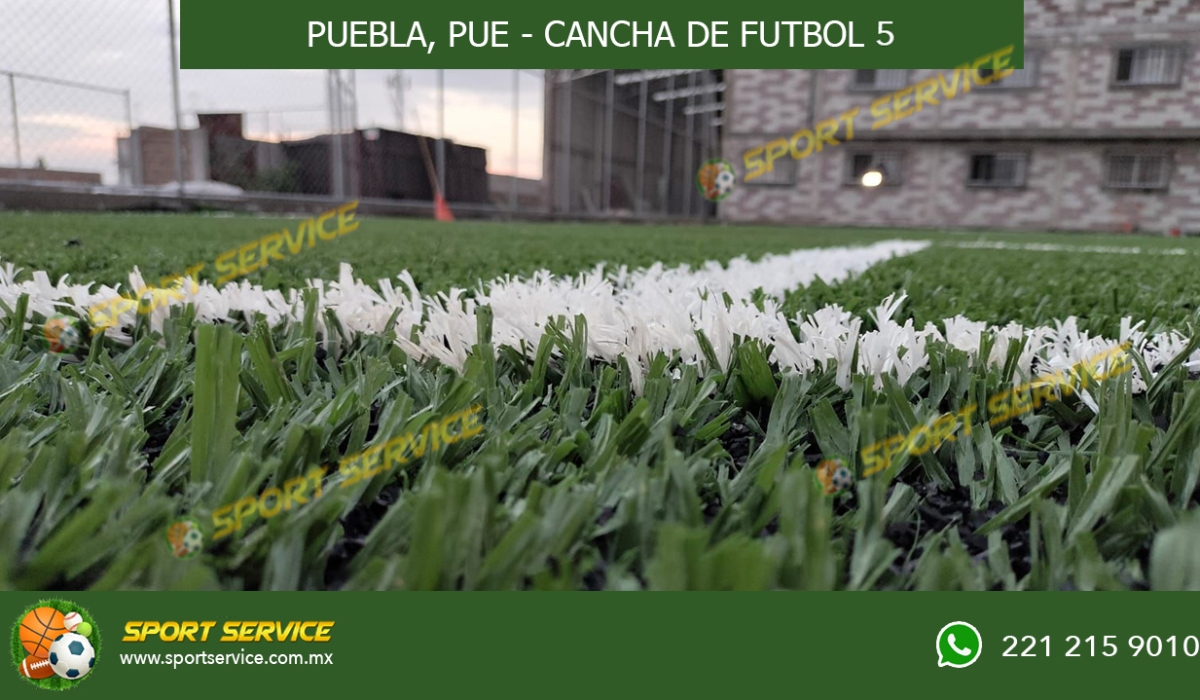 FERNANDO PUEBLA 2