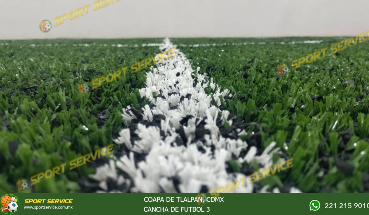 COAPA 4