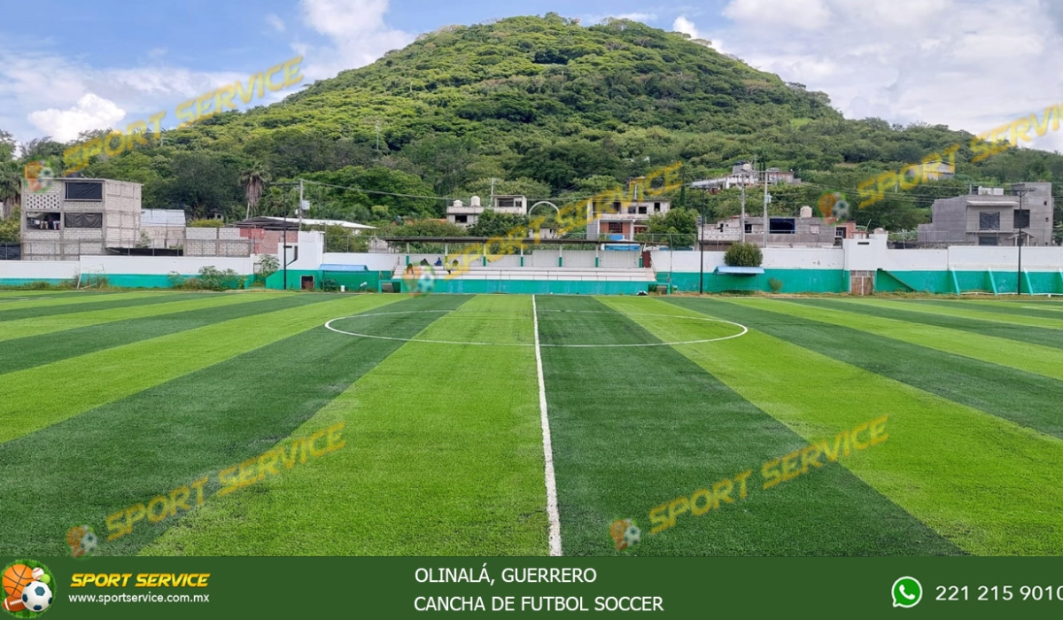 OLINALÁ 6