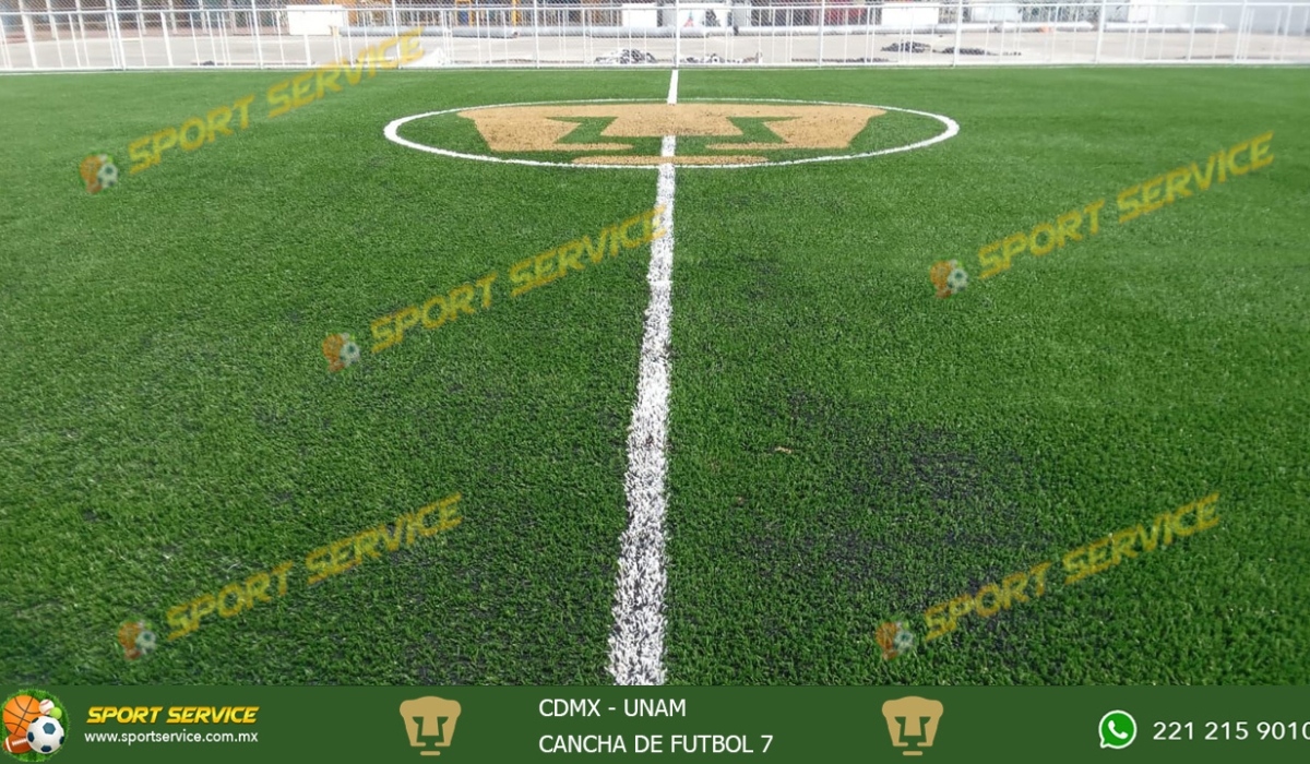 UNAM FUT 7 n 3